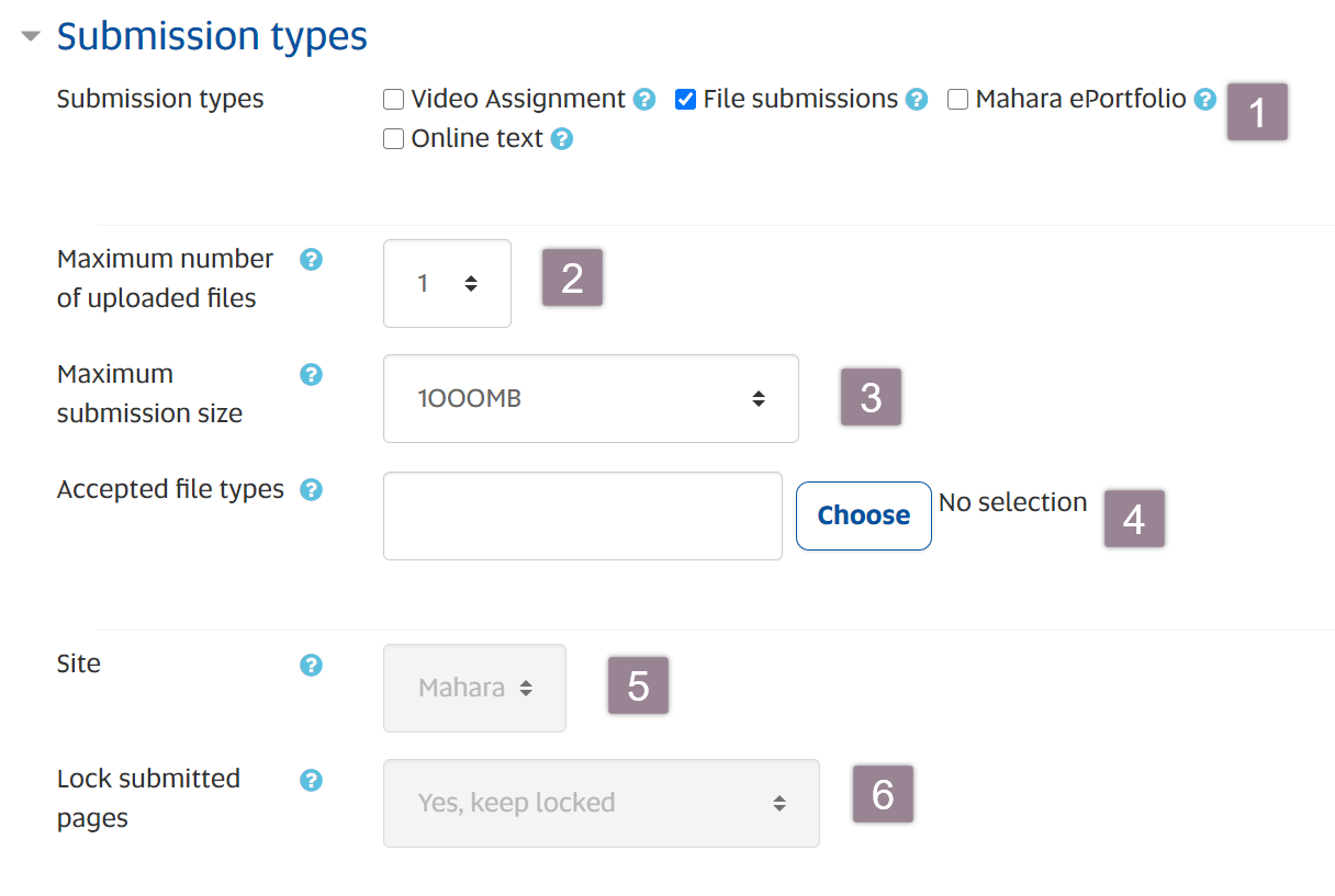 Assessment Settings Submission Types